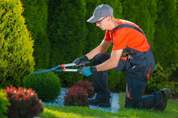 Gardening & Horticulture Services