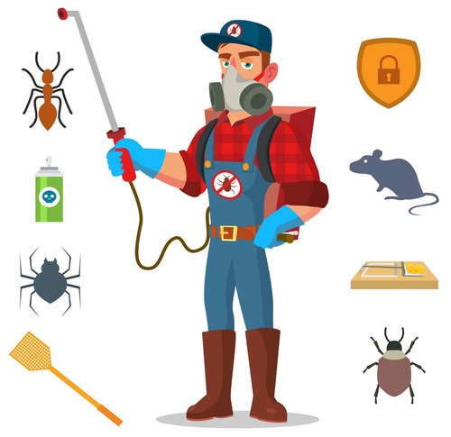 Pest Control Services